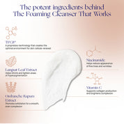The Foaming Cleanser