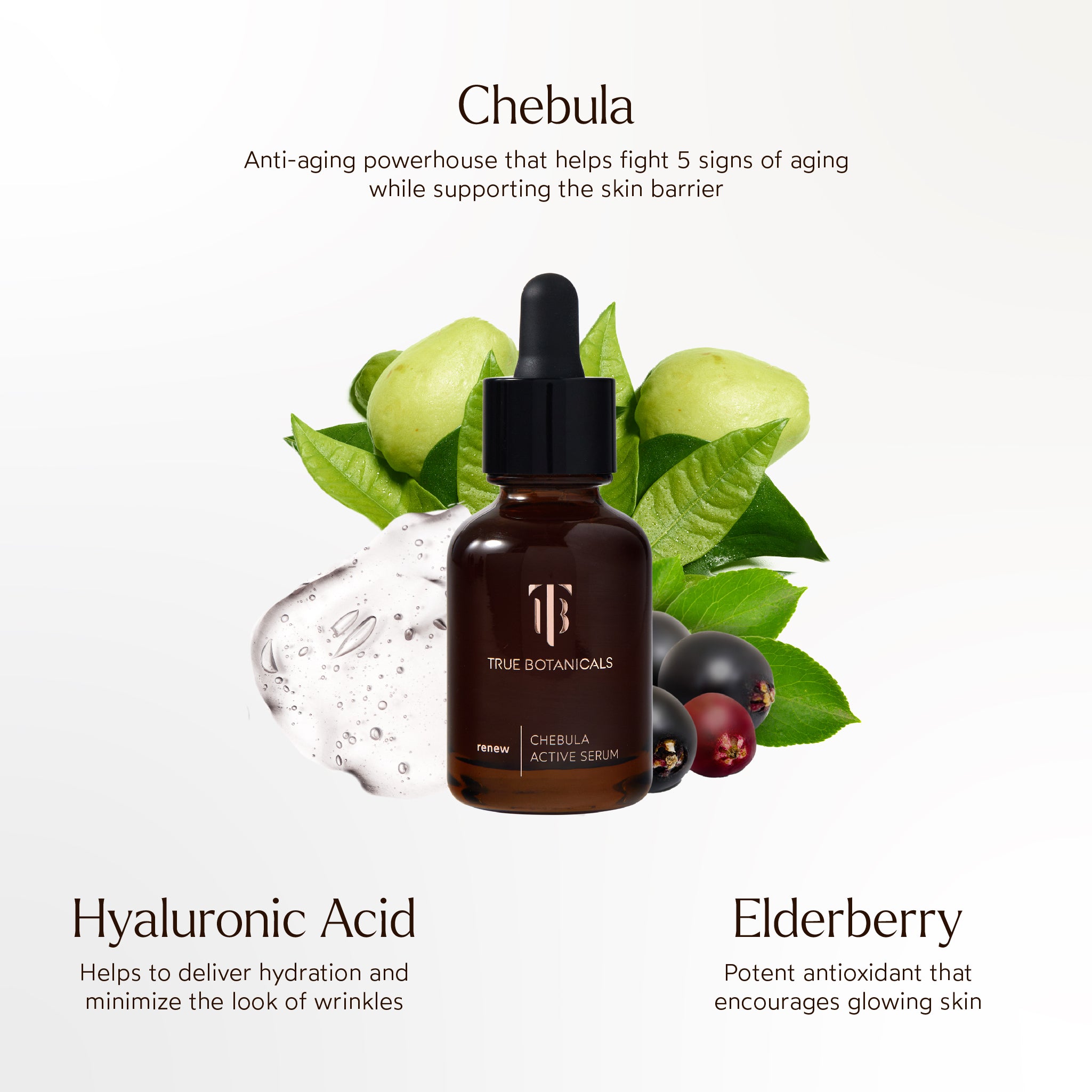 Chebula Active Serum