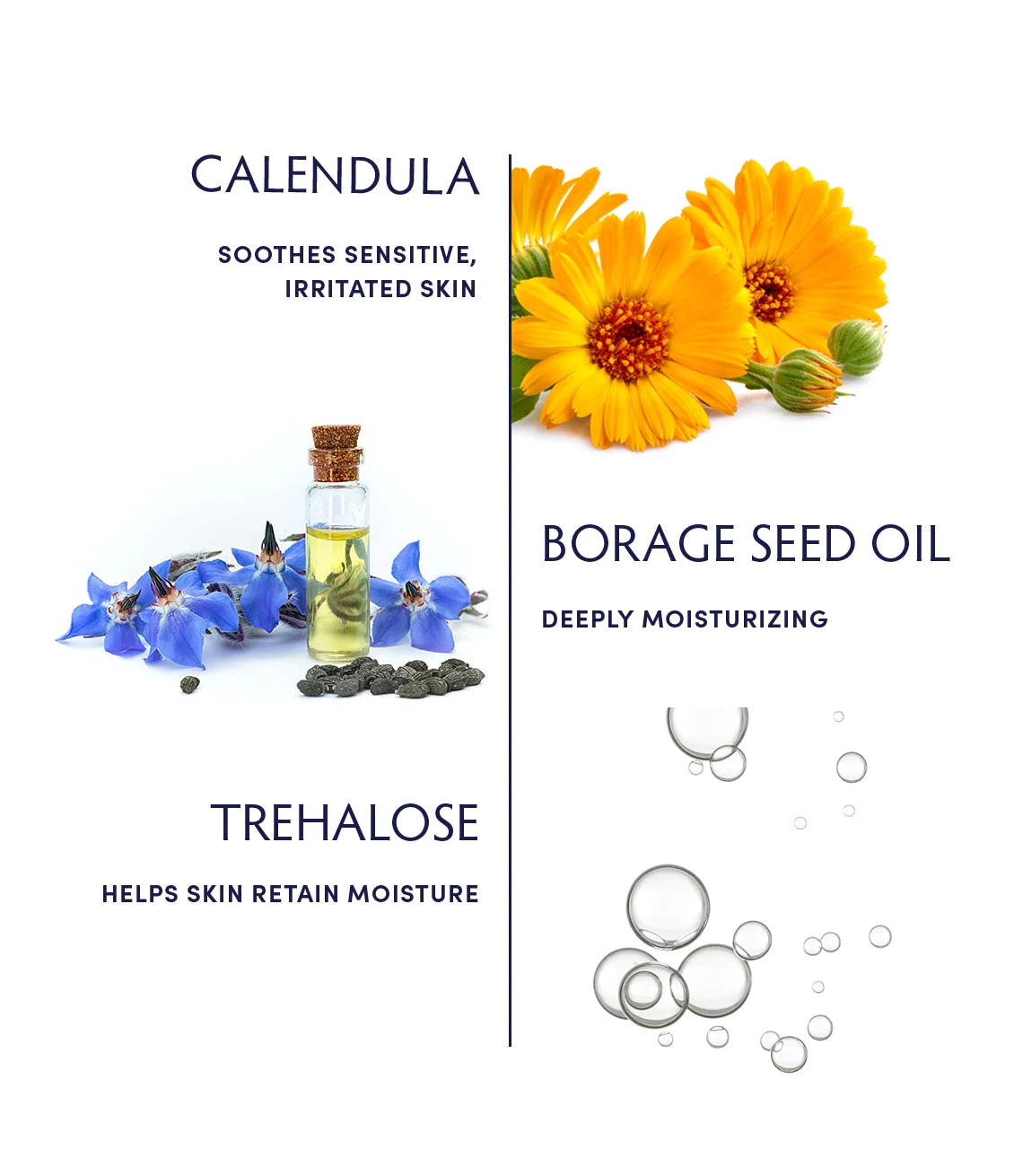 Calendula essential hydrating cream