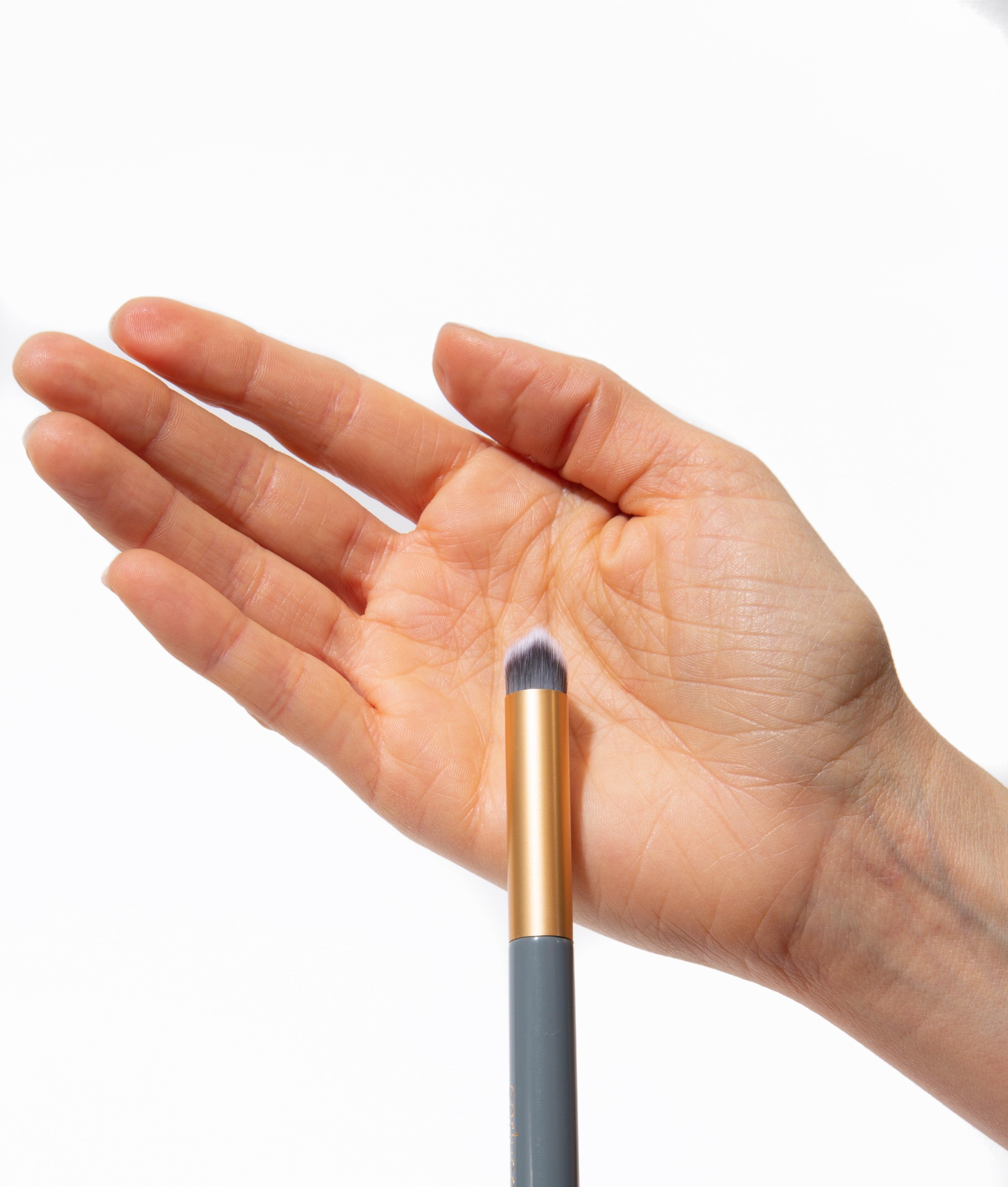 Small Brush