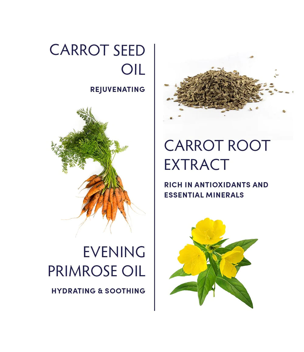 Carrot seed soothing facial oil