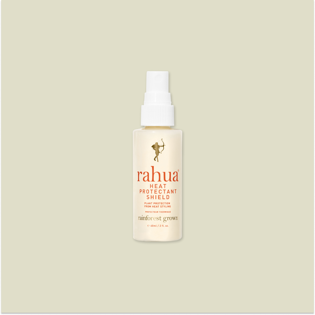 HEAT PROTECTANT SHIELD